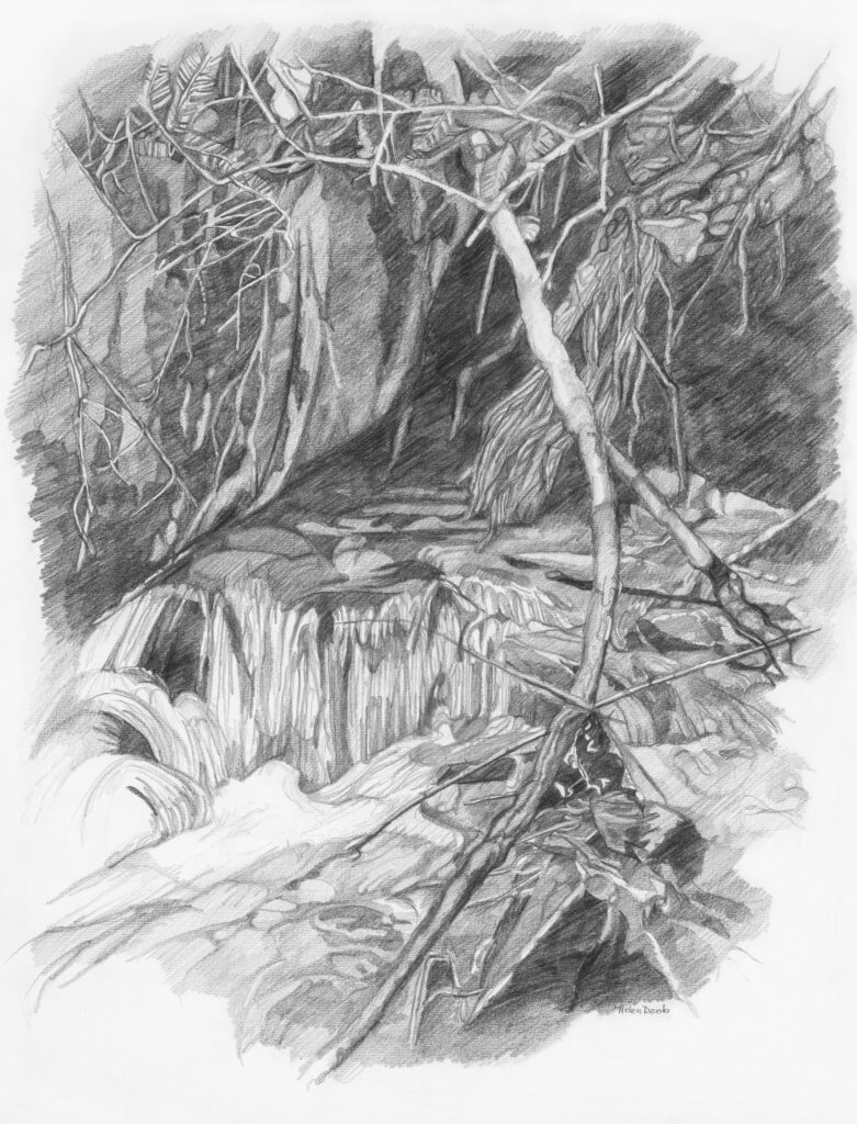 Drawing of French Creek in Cambridge Springs Pennsylvania